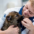 Foto van Krista Kamminga, Paraveterinair